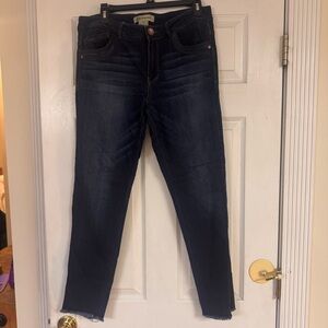 Democracy Freedom Ankle Skimmer Jeans | Size 12 | Dark Wash